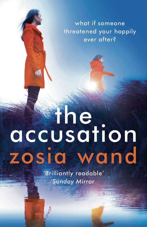 Book cover of The Accusation