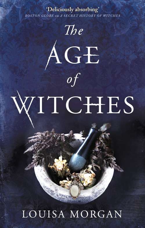 Book cover of The Age of Witches: A Novel