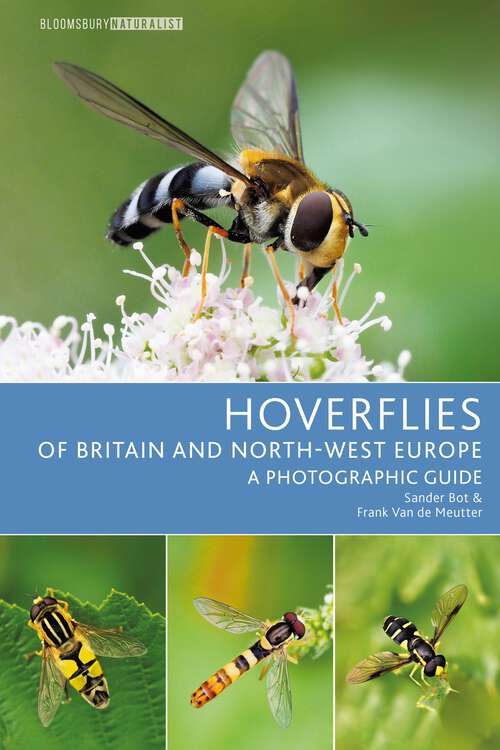 Book cover of Hoverflies of Britain and North-west Europe: A photographic guide (Bloomsbury Naturalist)