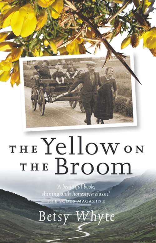 Book cover of Yellow on the Broom: The Early Days of a Traveller Woman