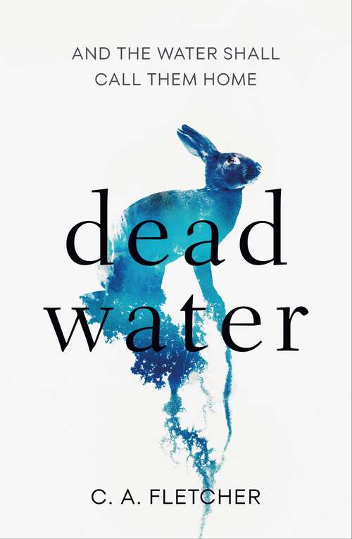 Book cover of Dead Water: A novel of folk horror