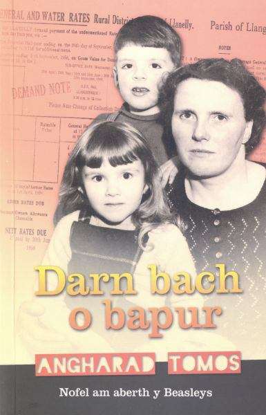 Book cover of Darn Bach o Bapur