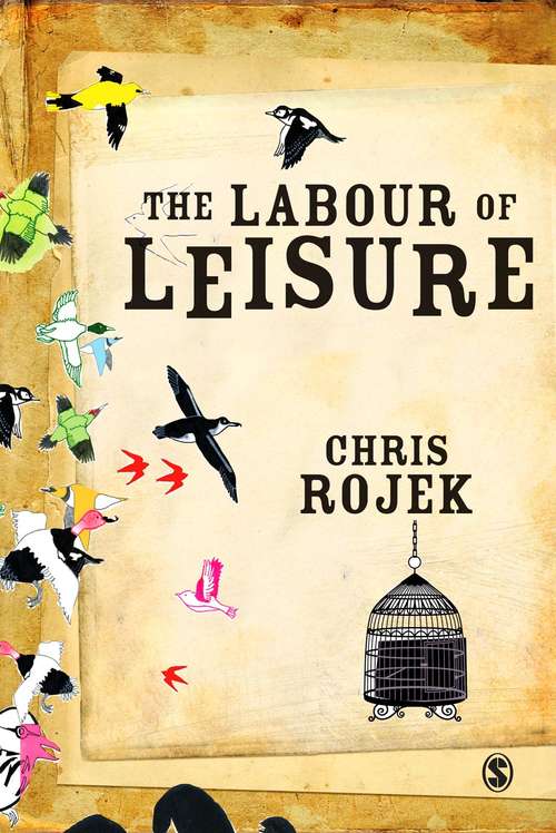 Book cover of The Labour of Leisure: The Culture of Free Time (PDF)