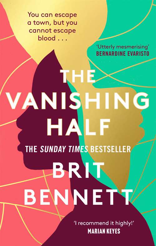 Book cover of The Vanishing Half: from the New York Times bestselling author of The Mothers