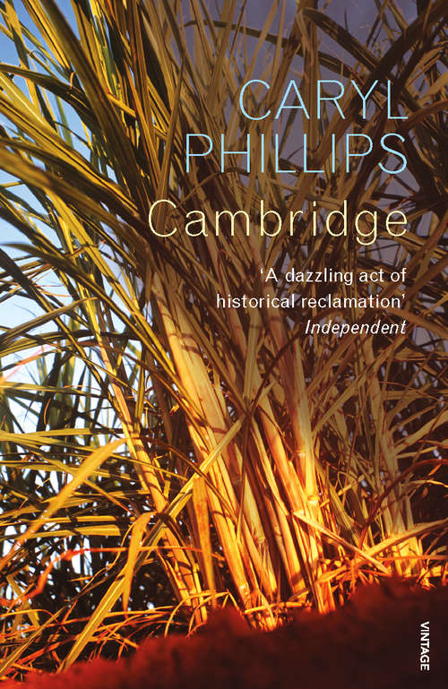 Book cover of Cambridge (Vintage International Series)