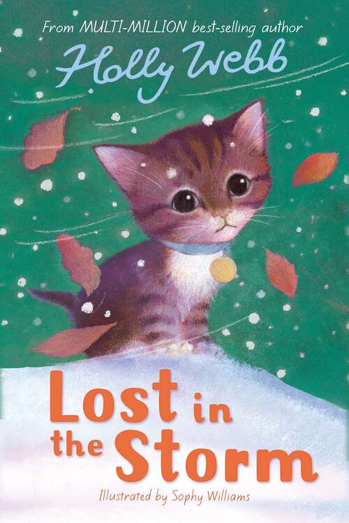 Book cover of Lost in the Storm (Holly Webb Animal Stories #3)