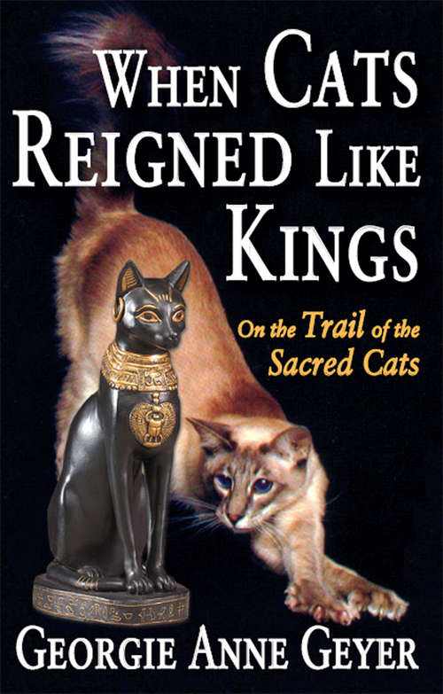 Book cover of When Cats Reigned Like Kings: On the Trail of the Sacred Cats