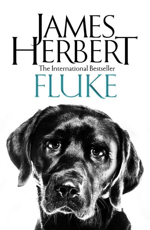 Book cover of Fluke (Plaza Y Janes Exitos Ser.)