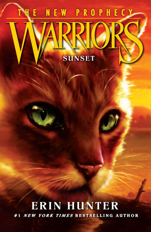 Book cover of SUNSET (ePub edition) (Warriors: The New Prophecy #6)