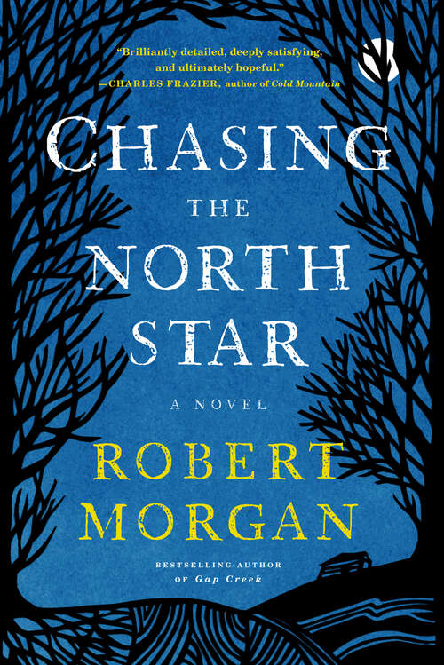 Book cover of Chasing the North Star: A Novel
