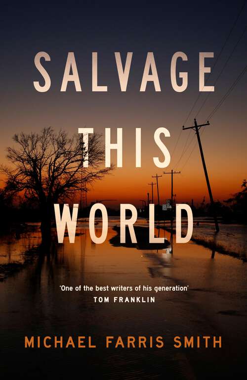 Book cover of Salvage This World