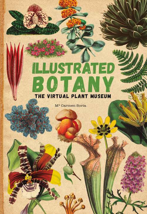Book cover of Illustrated Botany: The Virtual Plant Museum