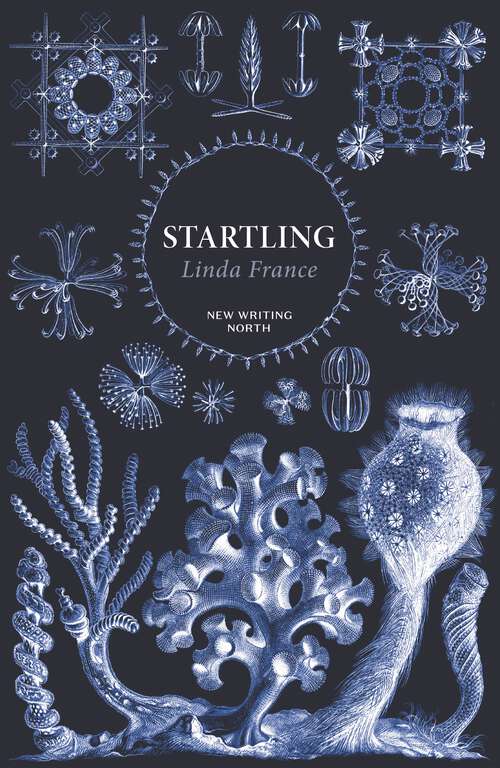 Book cover of Startling (Main - New Writing North)