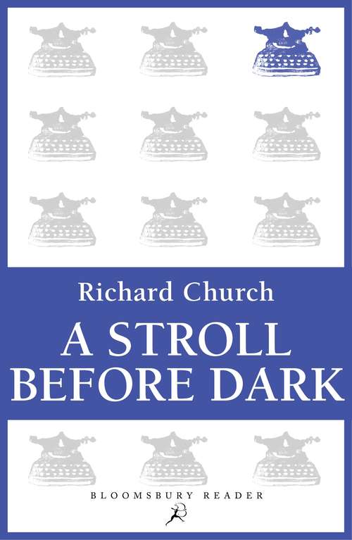 Book cover of A Stroll Before Dark: Essays