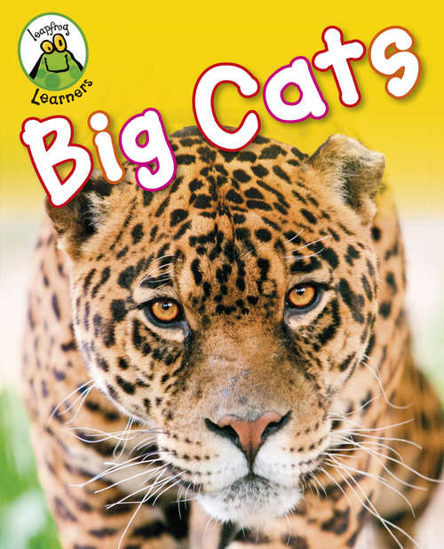 Book cover of Big Cats: Big Cats (Leapfrog Learners)
