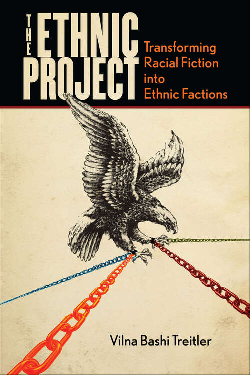 Book cover of The Ethnic Project: Transforming Racial Fiction into Ethnic Factions (Stanford Studies in Comparative Race and Ethnicity #15)
