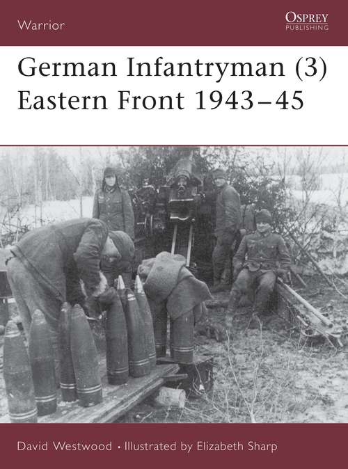 Book cover of German Infantryman (Warrior)