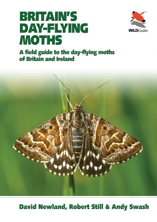 Book cover of Britain’s Day-flying Moths: A Field Guide to the Day-flying Moths of Britain and Ireland