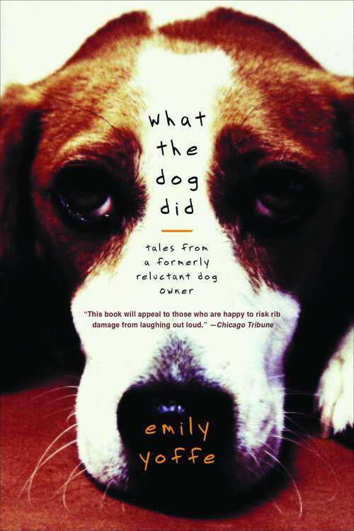 Book cover of What the Dog Did