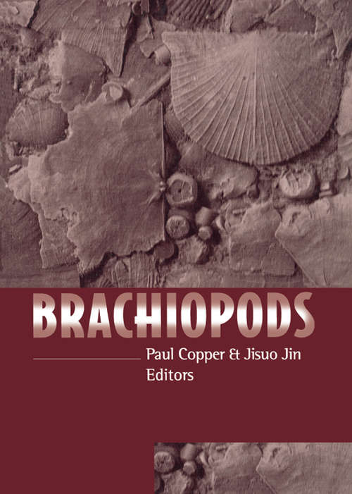 Book cover of Brachiopods: The O/s Extinction Recovery Fauna (Special Papers In Palaeontology Ser.: No. 74)