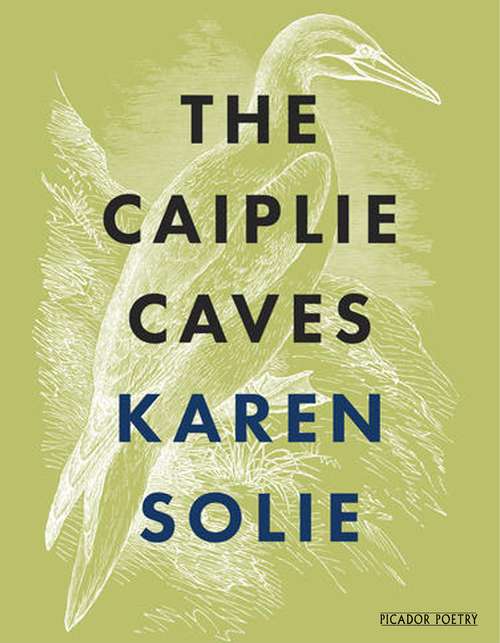 Book cover of The Caiplie Caves