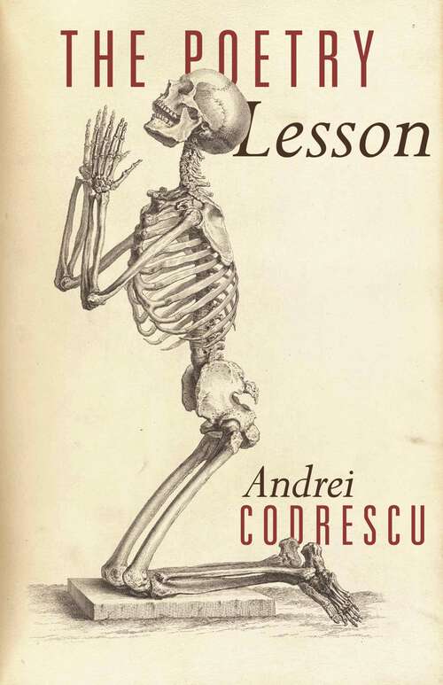 Book cover of The Poetry Lesson