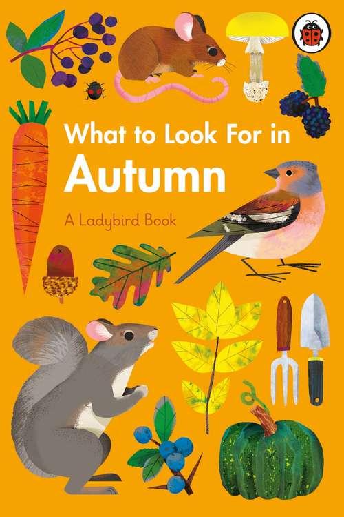Book cover of What to Look For in Autumn