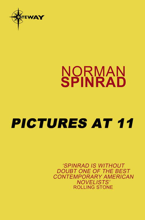 Book cover of Pictures at 11