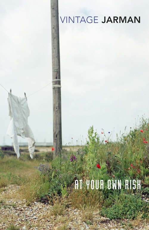Book cover of At Your Own Risk: A Saint's Testament