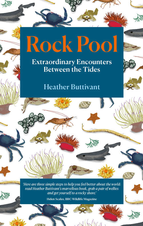 Book cover of Rock Pool: Extraordinary Encounters Between the Tides