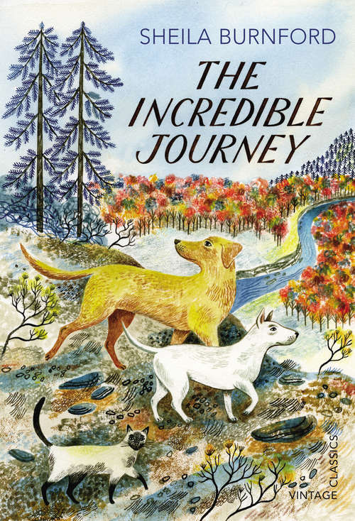 Book cover of The Incredible Journey