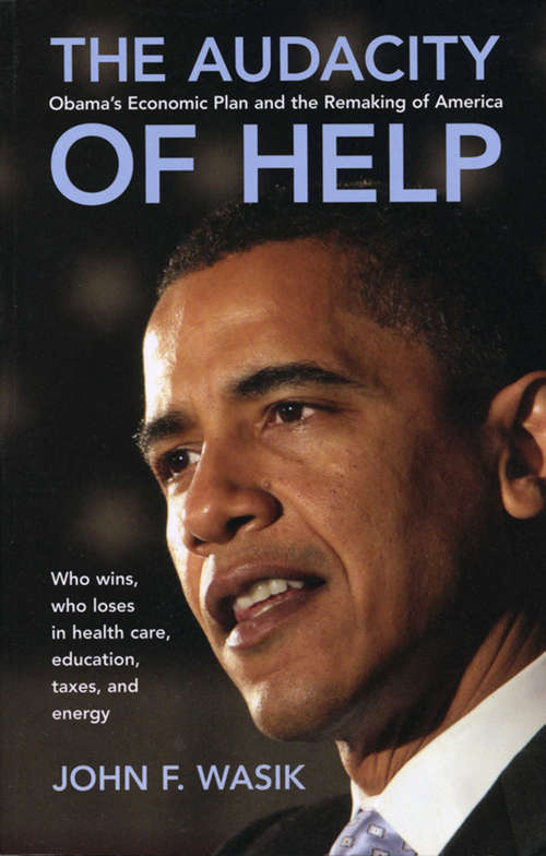 Book cover of The Audacity of Help: Obama's Stimulus Plan and the Remaking of America (Bloomberg #24)
