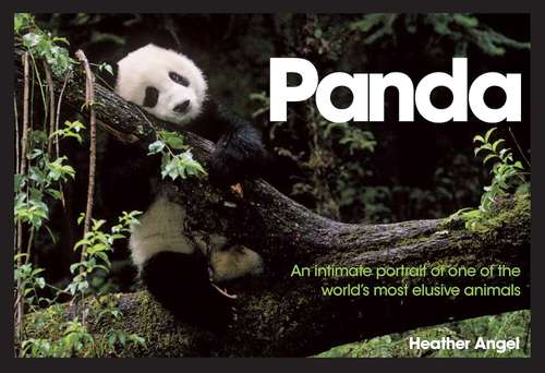 Book cover of Panda: An Intimate Portrait Of One Of The World's Most Elusive Characters
