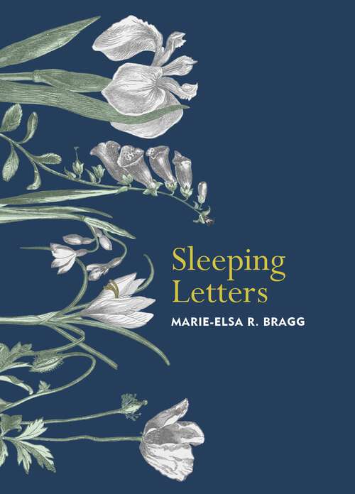 Book cover of Sleeping Letters