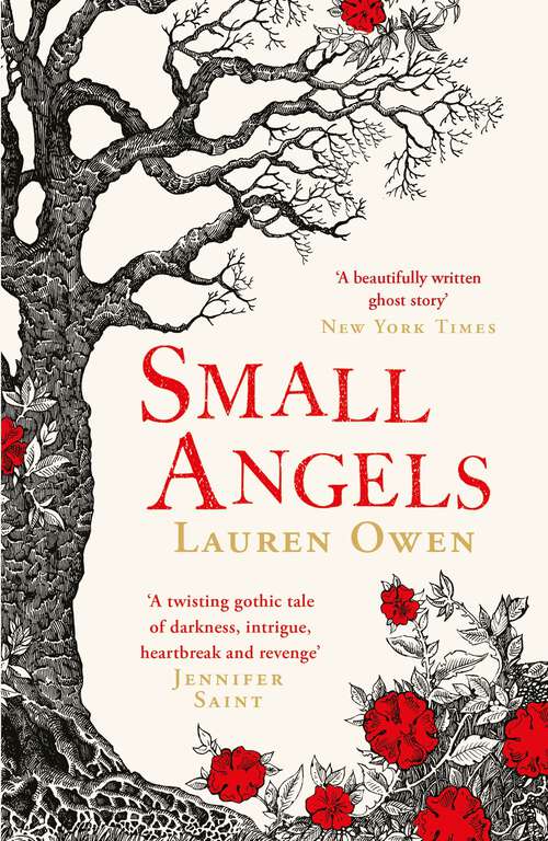 Book cover of Small Angels: A twisting gothic novel of hauntings, heartbreak and revenge
