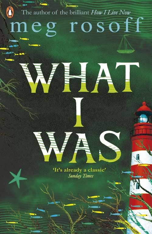 Book cover of What I Was (Bride Series)