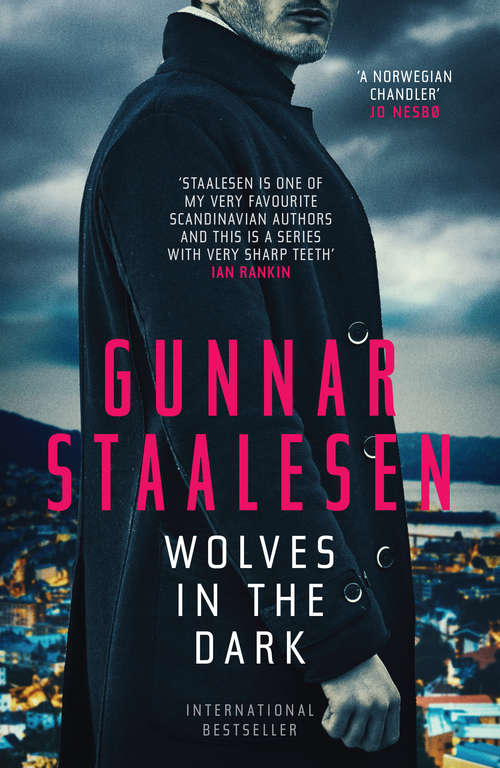 Book cover of Wolves in the Dark (Varg Veum)