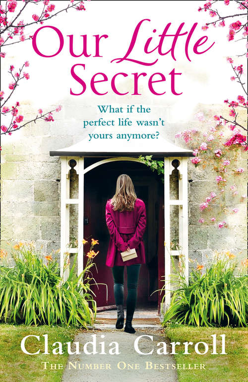 Book cover of Our Little Secret (ePub edition)
