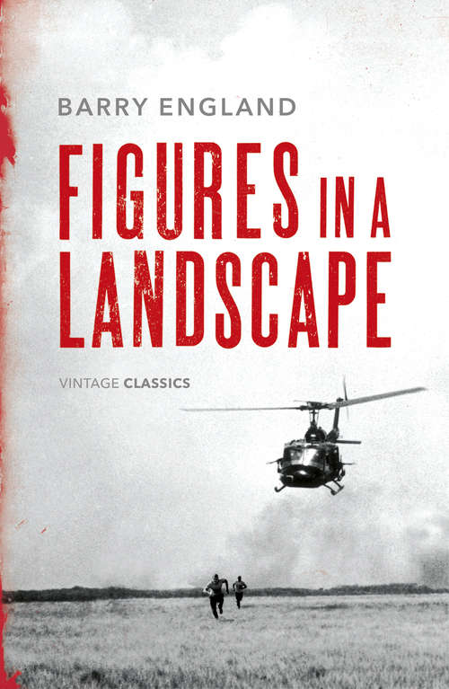 Book cover of Figures in a Landscape