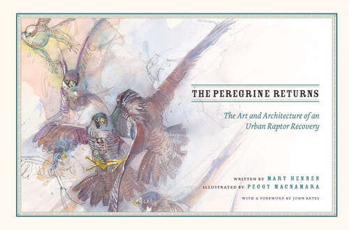 Book cover of The Peregrine Returns: The Art and Architecture of an Urban Raptor Recovery
