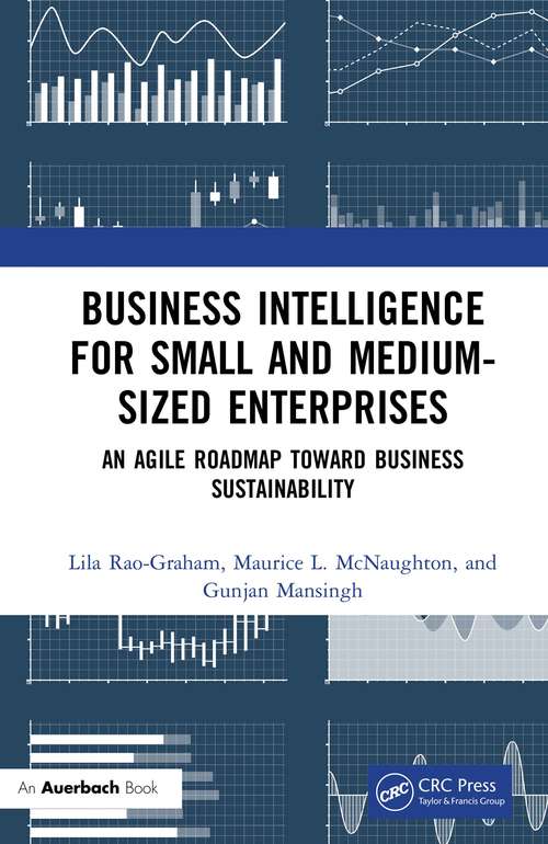 Book cover of Business Intelligence for Small and Medium-Sized Enterprises: An Agile Roadmap toward Business Sustainability