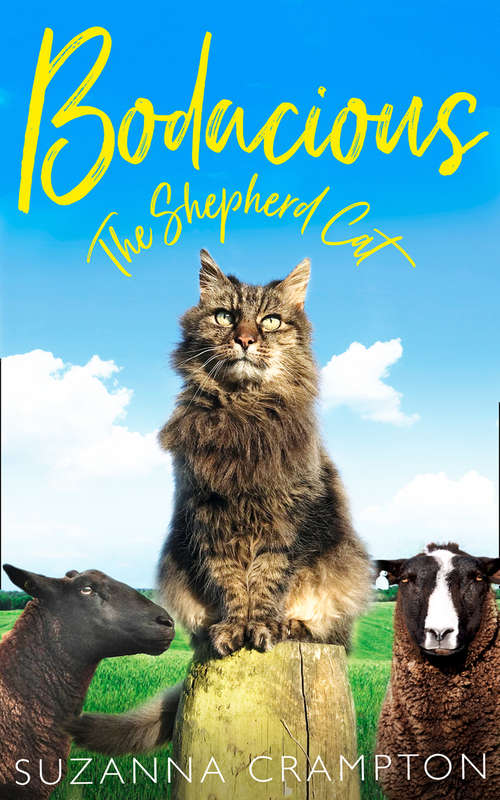 Book cover of Bodacious: The Shepherd Cat (ePub edition)