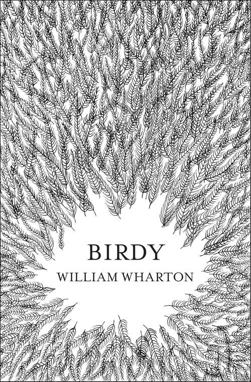 Book cover of Birdy (ePub edition) (Vintage Contemporaries Ser.)