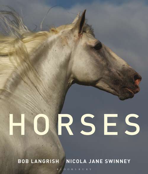 Book cover of Horses: Magnificent, Playful, Loyal (Best Kept Secrets Ser.)