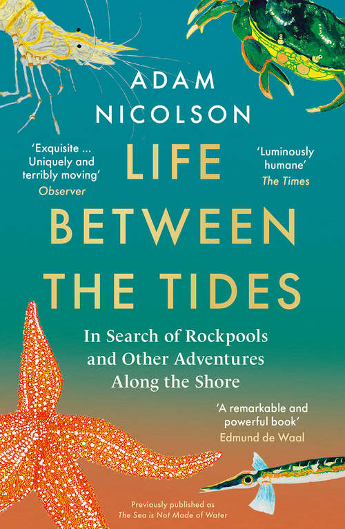 Book cover of the sea is not made of water: Life Between The Tides (ePub edition)
