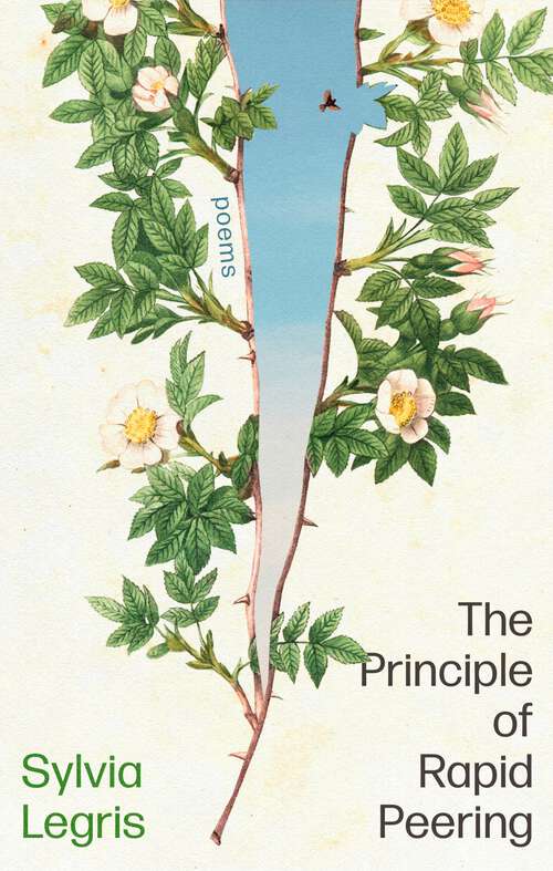 Book cover of The Principle of Rapid Peering