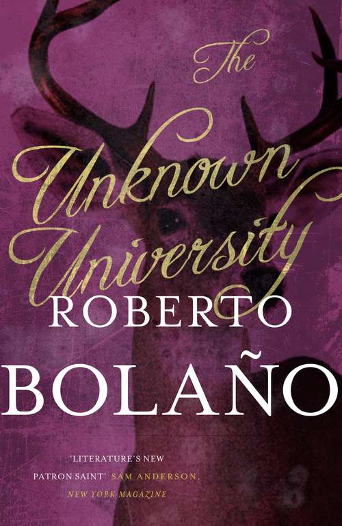 Book cover of The Unknown University