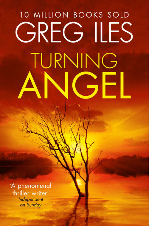 Book cover of Turning Angel: A Novel (ePub edition) (A\penn Cage Novel Ser.: Bk. 2)