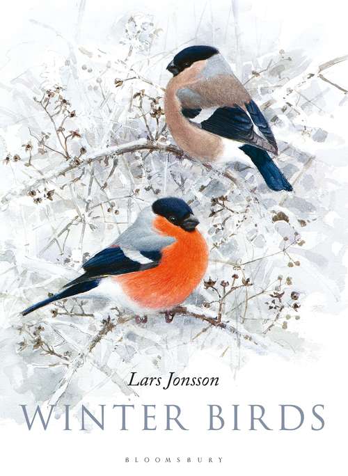 Book cover of Winter Birds