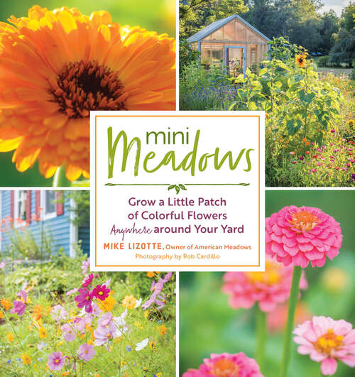 Book cover of Mini Meadows: Grow a Little Patch of Colorful Flowers Anywhere around Your Yard